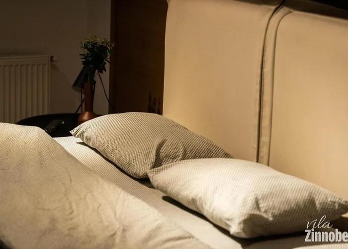 Guest house Zinnober